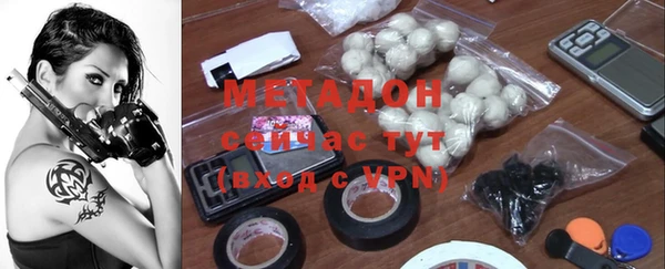 прущие крисы Горняк